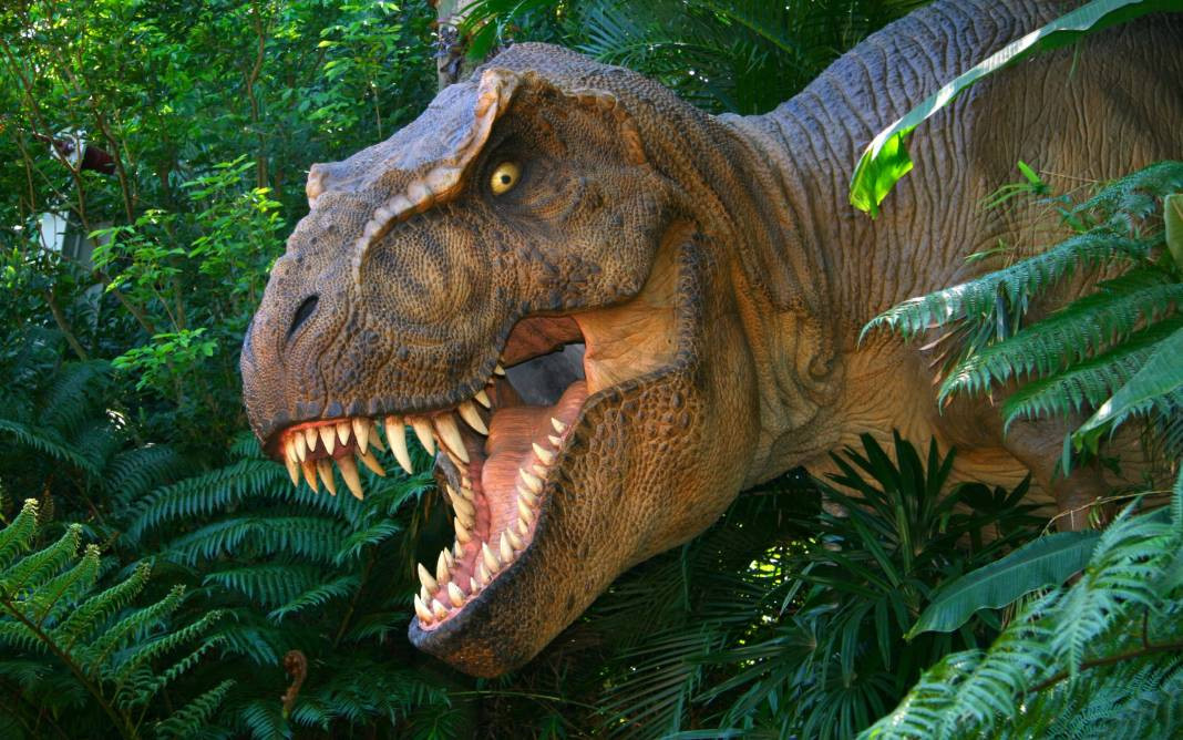 Dinozorlar geri mi dönüyor? Jurassic Park filmi gerçek mi oluyor - Resim: 18